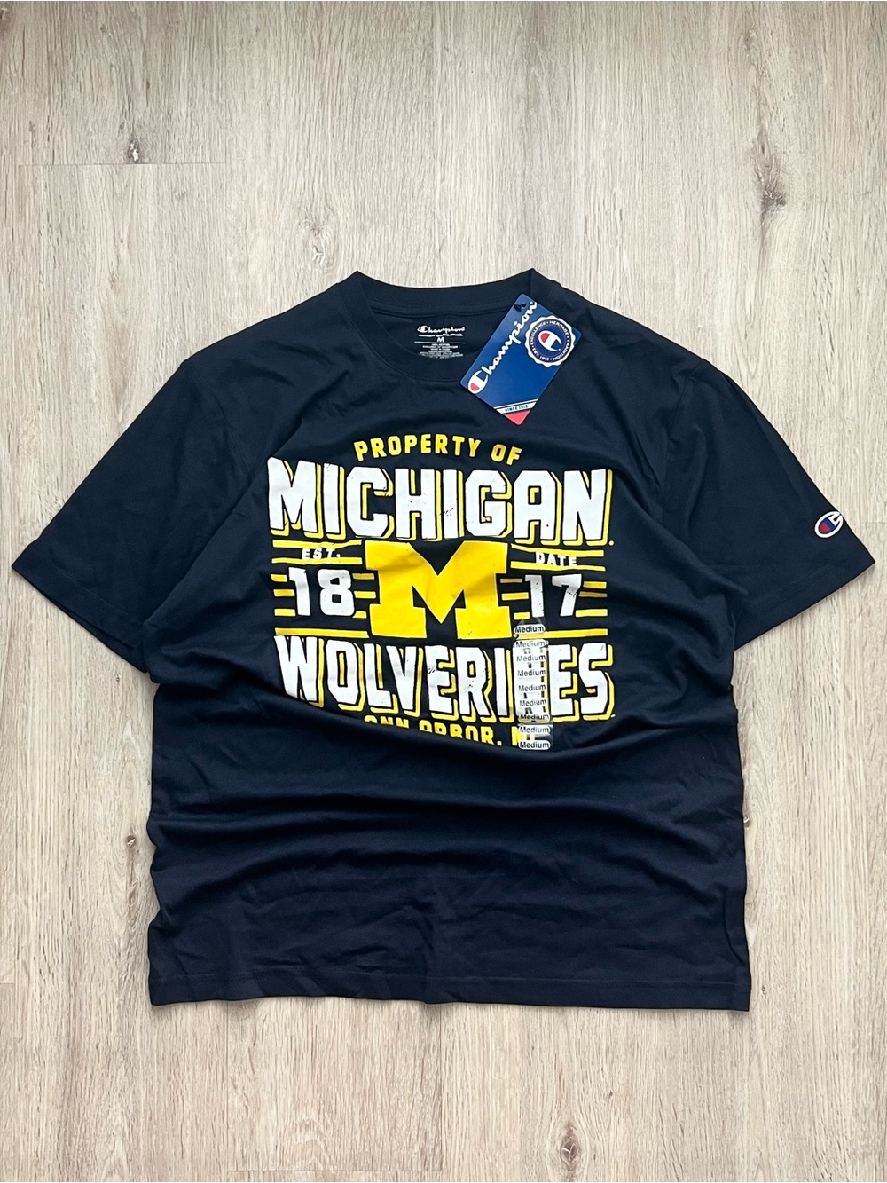 Vintage Y2K Style Champion Michigan Wolverines T-Shirt Mens Medium Navy Blue